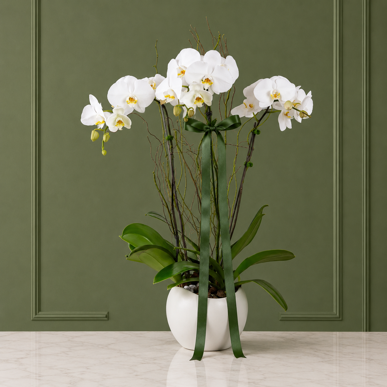 Plantas de interior y orquídeas
